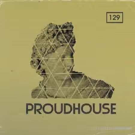 Bingoshakerz Proud House [WAV, MiDi, REX] - Sample Pack Artwork