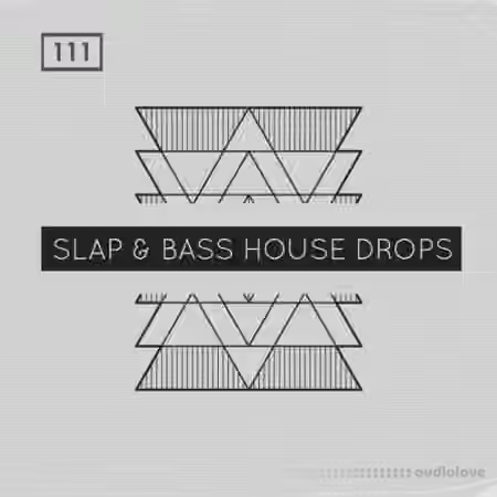 Bingoshakerz Slap and Bass House Drops [WAV, MiDi, REX] - Sample Pack Artwork