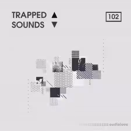 Bingoshakerz Trapped Sounds [WAV, REX] - Sample Pack Artwork
