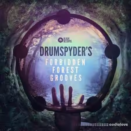 Black Octopus Drumspyder's Forbidden Forest Grooves [WAV] - Sample Pack Artwork