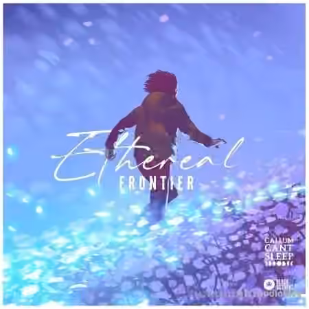 Black Octopus Ethereal Frontier by CallumCantSleep [WAV, Synth Presets] - Sample Pack Artwork