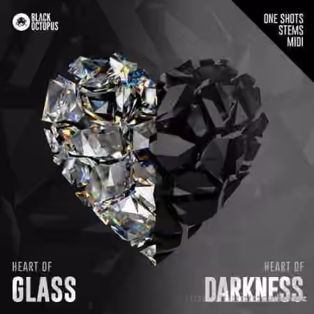 Black Octopus Sound Heart Of Glass [WAV, MiDi] - Sample Pack Artwork