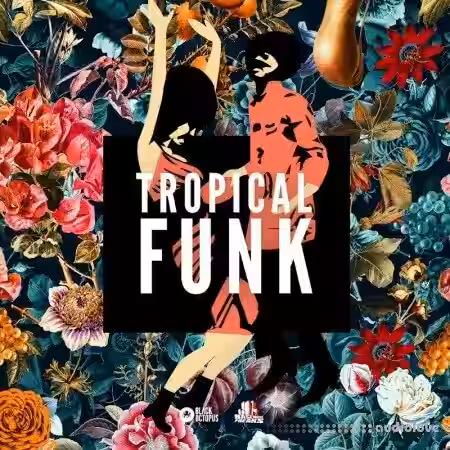 Black Octopus Sound Tropical Funk by Basement Freaks [WAV] - Sample Pack Artwork