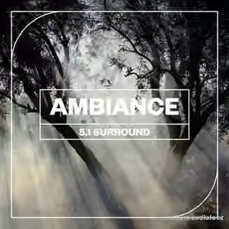 Blastwave FX Ambiance 5.1 Surround [WAV]