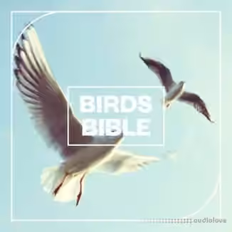 Blastwave FX Birds Bible [WAV]