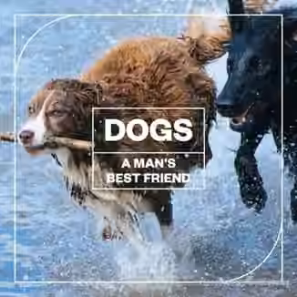 Blastwave FX Dogs: A Man's Best Friend [WAV]
