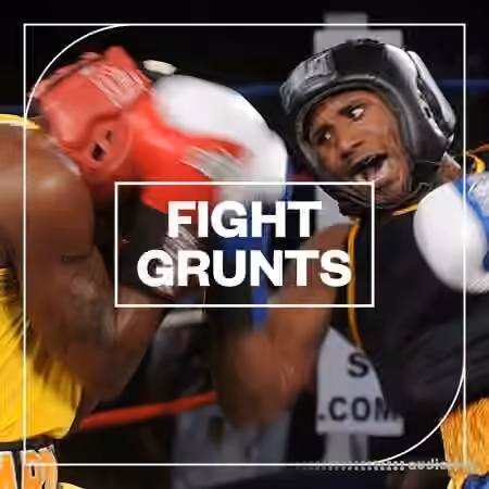 Blastwave FX Fight Grunts [WAV] - Sample Pack Artwork
