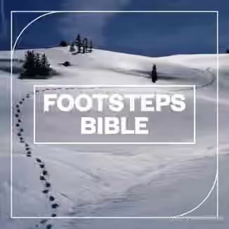 Blastwave FX Footsteps Bible [WAV]