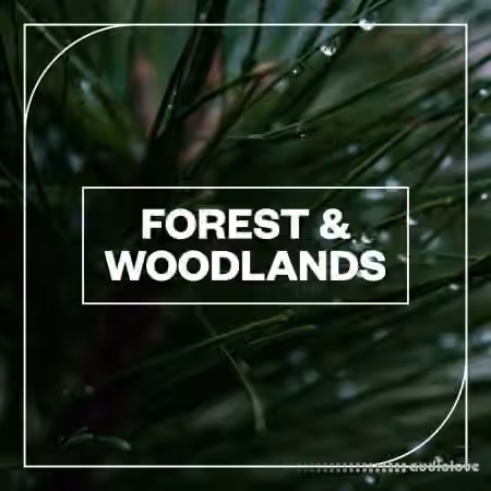 Blastwave FX Forest and Woodlands [WAV]