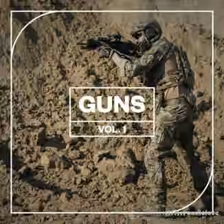 Blastwave FX Guns Vol. 1 [WAV]