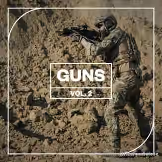 Blastwave FX Guns Vol. 2 [WAV]