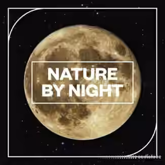 Blastwave FX Nature by NIght [WAV]