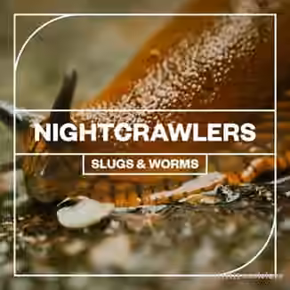 Blastwave FX Nightcrawlers: Slugs and Worms [WAV]