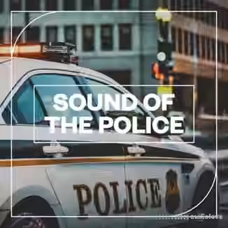 Blastwave FX Sound of the Police [WAV]