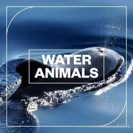 Blastwave FX Water Animals [WAV] - Sample Pack Artwork