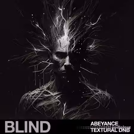 Blind Audio Abeyance Textural DnB [WAV] - Sample Pack Artwork