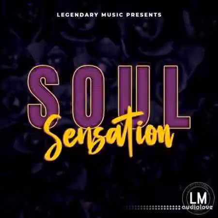 Blissful Audio Soul Sensation [WAV] - Sample Pack Artwork
