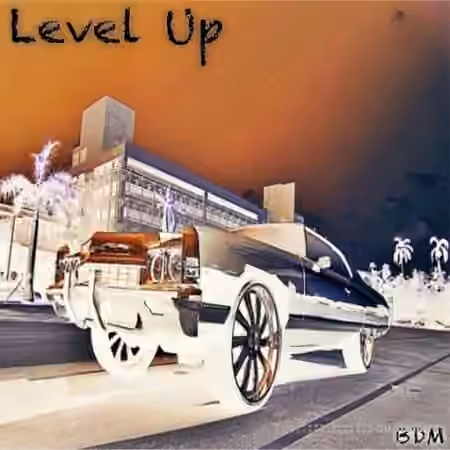 Blue Diamond Musiq Level Up [WAV] - Sample Pack Artwork