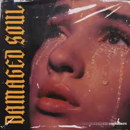 Blvckout Damaged Soul [WAV] - Sample Pack Artwork