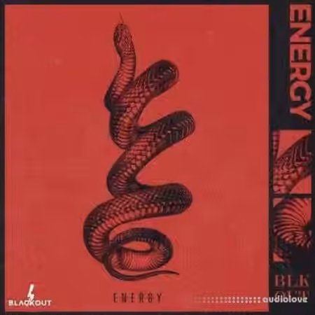 Blvckout Energy [WAV] - Sample Pack Artwork