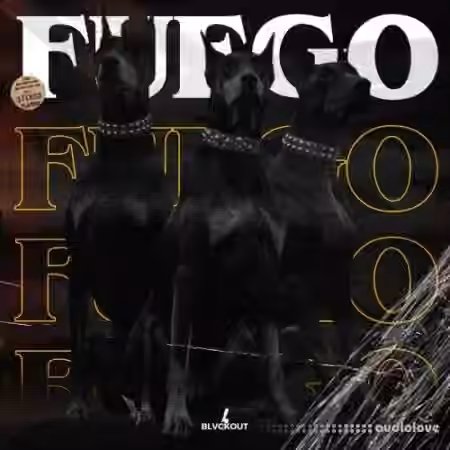 Blvckout Fuego [WAV] - Sample Pack Artwork