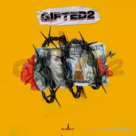 Blvckout Gifted 2 [WAV, MiDi] - Sample Pack Artwork