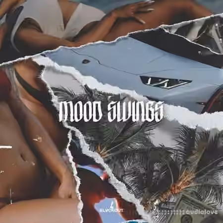 Blvckout Mood Swings [WAV, MiDi] - Sample Pack Artwork