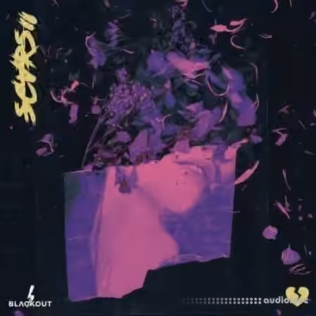 Blvckout Scars 2 [WAV] - Sample Pack Artwork