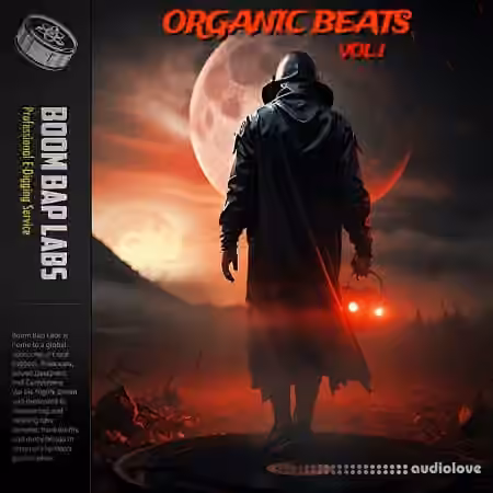 Boom Bap Labs Organic Beats Dark Frozen Vol 1 [WAV] - Sample Pack Artwork