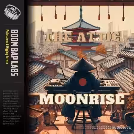 Boom Bap Labs The Attic Moonrise [WAV] - Sample Pack Artwork