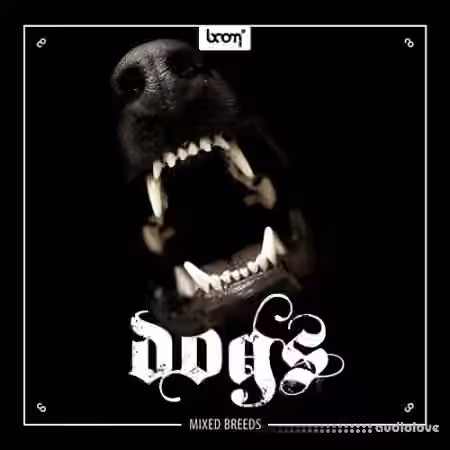 Boom Library Dogs [WAV] - Sample Pack Artwork