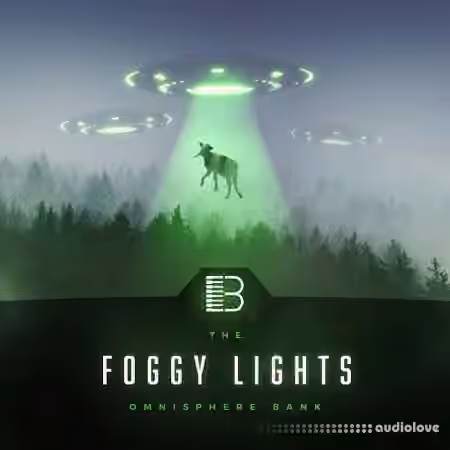 Brandon Chapa Sounds Foggy Lights Trap [Synth Presets] - Sample Pack Artwork