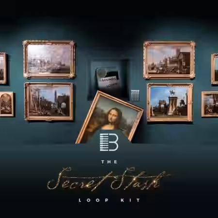 Brandon Chapa The Secret Stash [WAV] - Sample Pack Artwork
