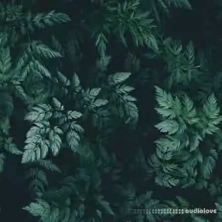 Bruferrbeatz Sage (Drumkit) [WAV] - Sample Pack Artwork
