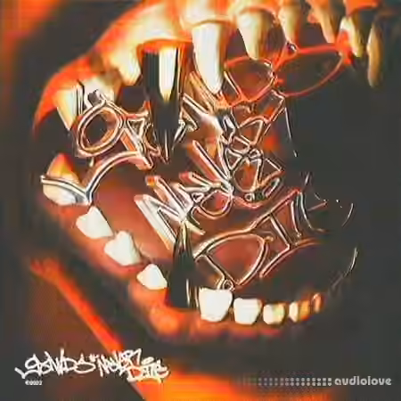 Bsterthegawd WHY NOT KILL? Drumkit [WAV] - Sample Pack Artwork