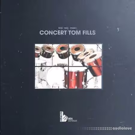 Bullyfinger Satterlee Concert Tom Fills [WAV] - Sample Pack Artwork