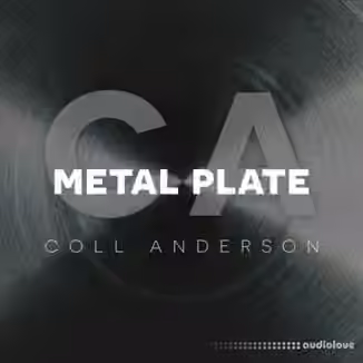 C.A. Sound, Inc Metal Plate [WAV]