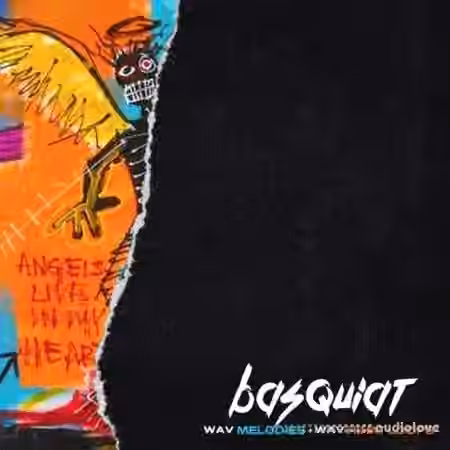 Canary Julz Basquiat (Loop Pack) [WAV] - Sample Pack Artwork
