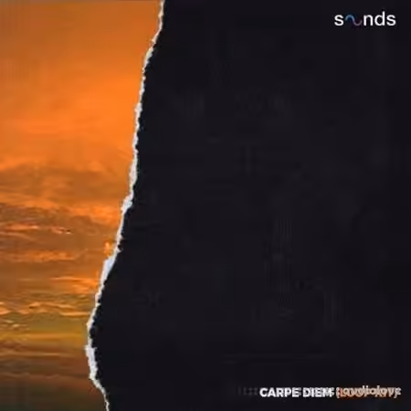Canary Julz Carpe Diem (Loop Kit) [WAV] - Sample Pack Artwork