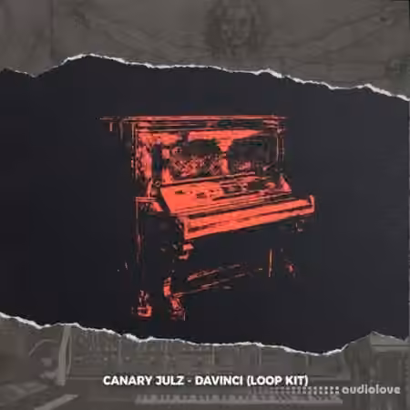 Canary Julz Davinci (Loop Kit) [WAV] - Sample Pack Artwork