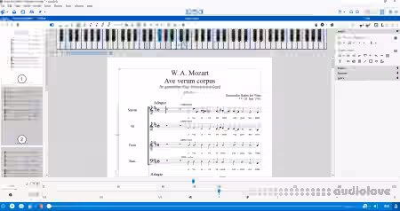 Capella-software Capella v8.0.16 [WiN] - Sample Pack Artwork