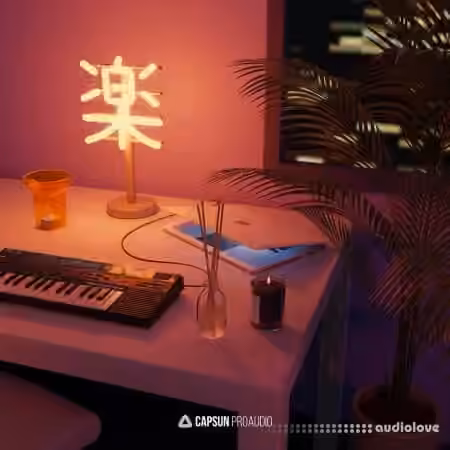 Capsun ProAudio Bedroom Beats and Lofi Hip-Hop Vol.3 [WAV, Synth Presets] - Sample Pack Artwork