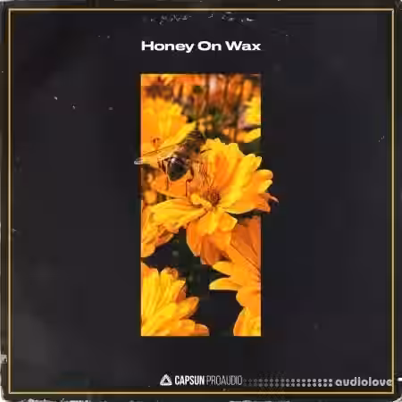 Capsun ProAudio Honey On Wax [WAV] - Sample Pack Artwork