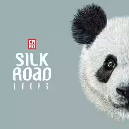 CARO Silk Road Loops [WAV, MiDi] - Sample Pack Artwork