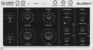 Carve Audio Busboy v1.0.11 [WiN]