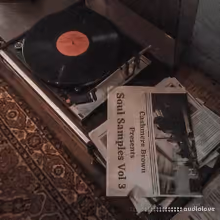 Cashmere Brown Rare Soul Samples Vol.3 [WAV] - Sample Pack Artwork