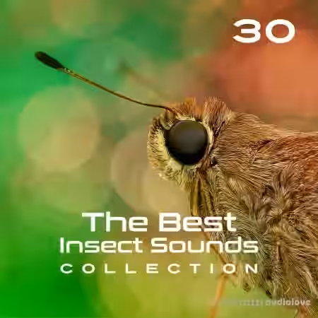 Close To Nature Music Ensemble 30 The Best Insect Sounds Collection Fly with Creature, Sound Effects, Magic Library [FLAC] - Sample Pack Artwork