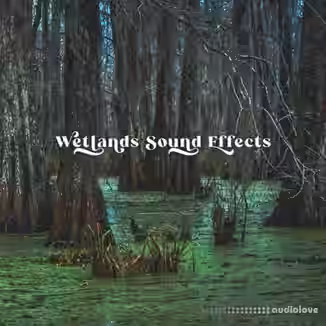 Close to Nature Music Ensemble Wetlands Sound Effects [FLAC]