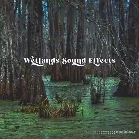 Close to Nature Music Ensemble Wetlands Sound Effects [FLAC] - Sample Pack Artwork