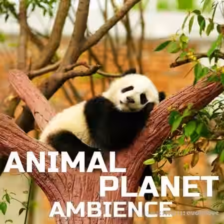 Cloud Nine Records Animal Planet Ambience [FLAC] - Sample Pack Artwork